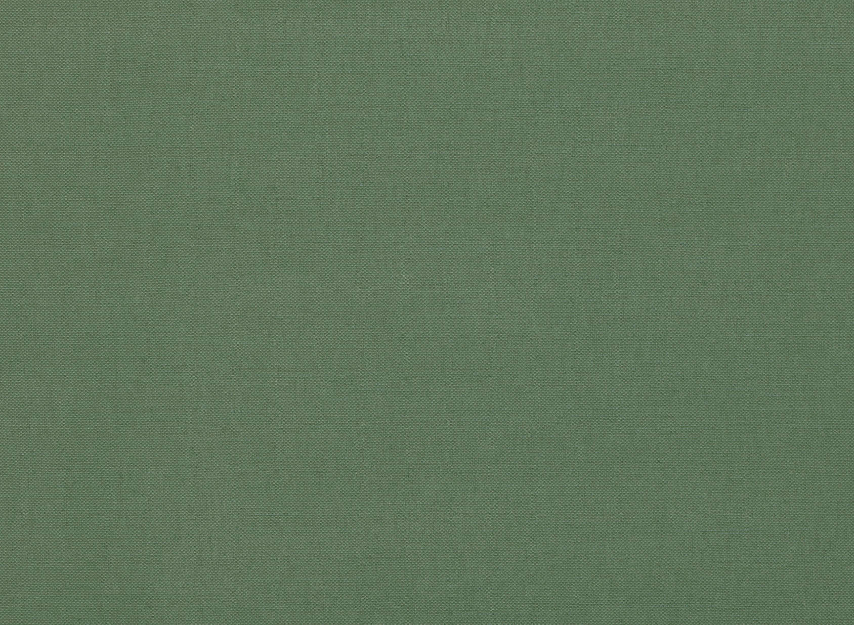 Linara Shamrock 2494-387