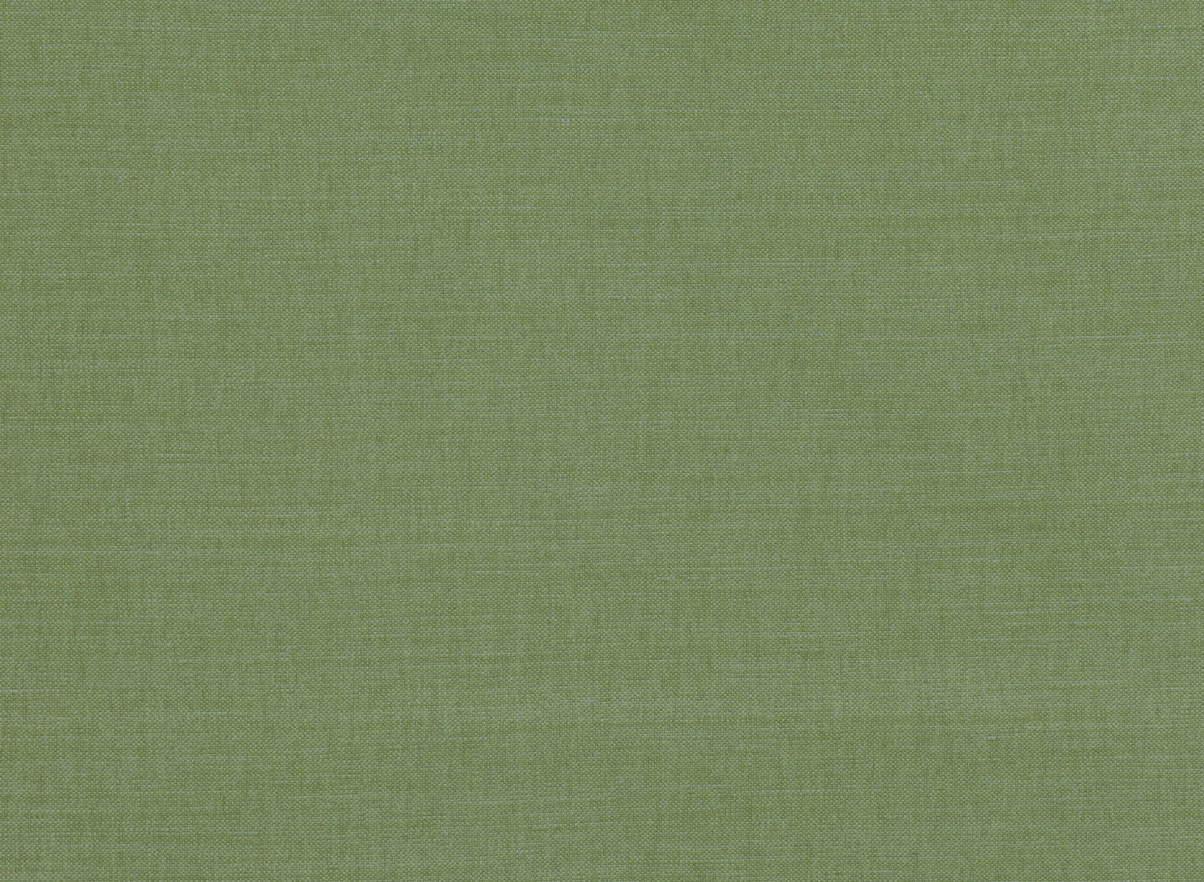 Linara Tendril 2494-385