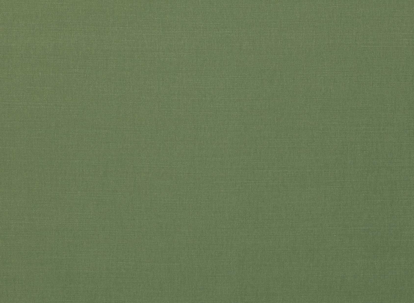 Linara Thyme 2494-270