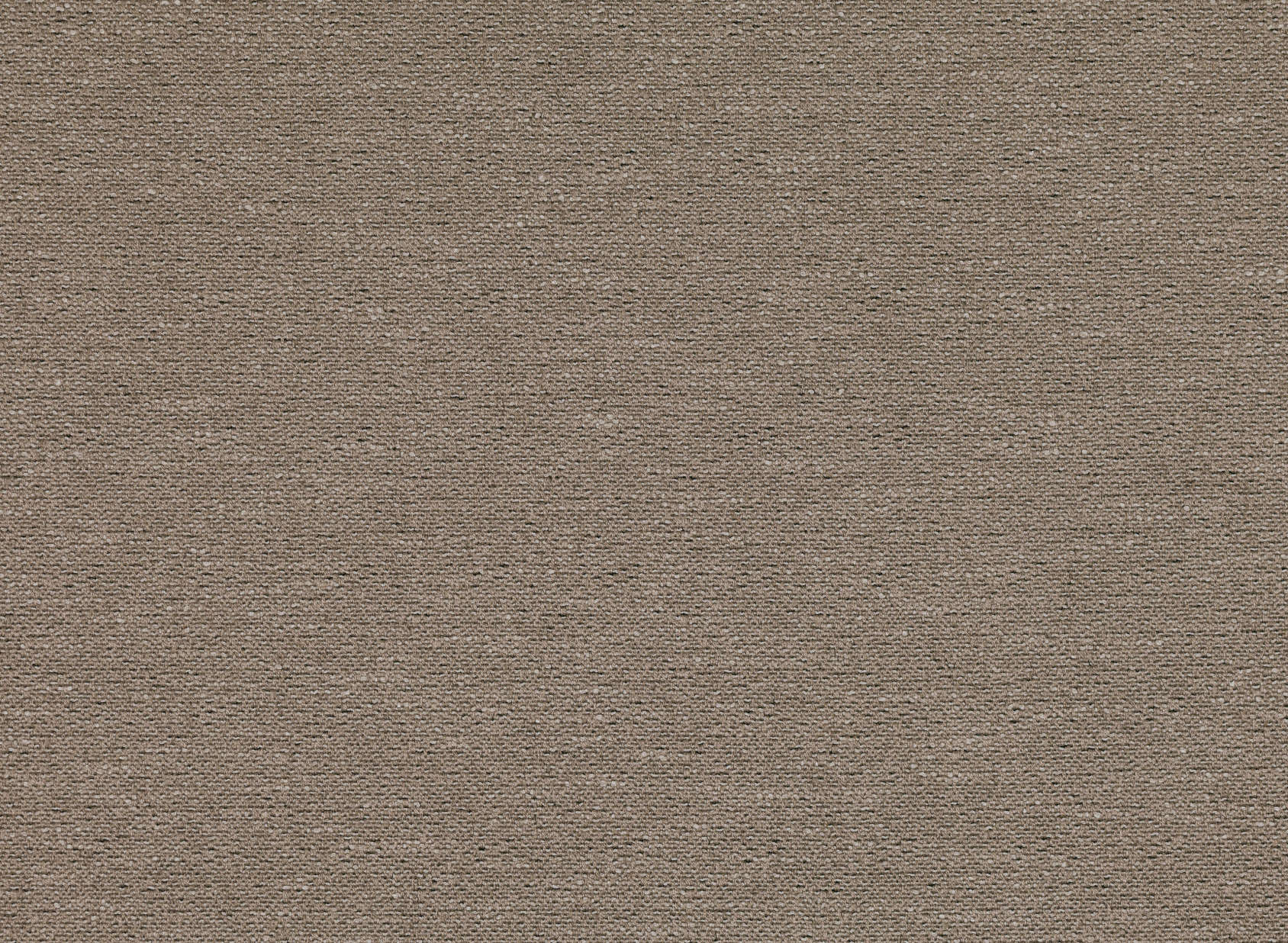 Lines Bicuit K5206-01