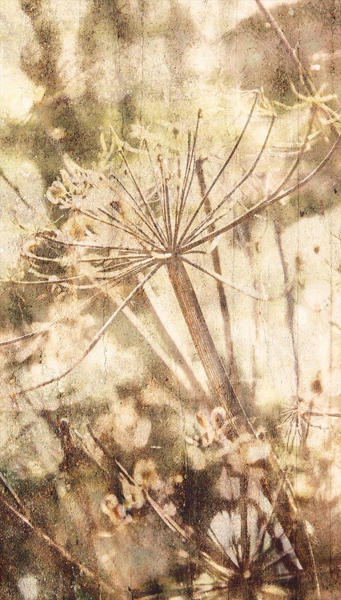 Lino 379102