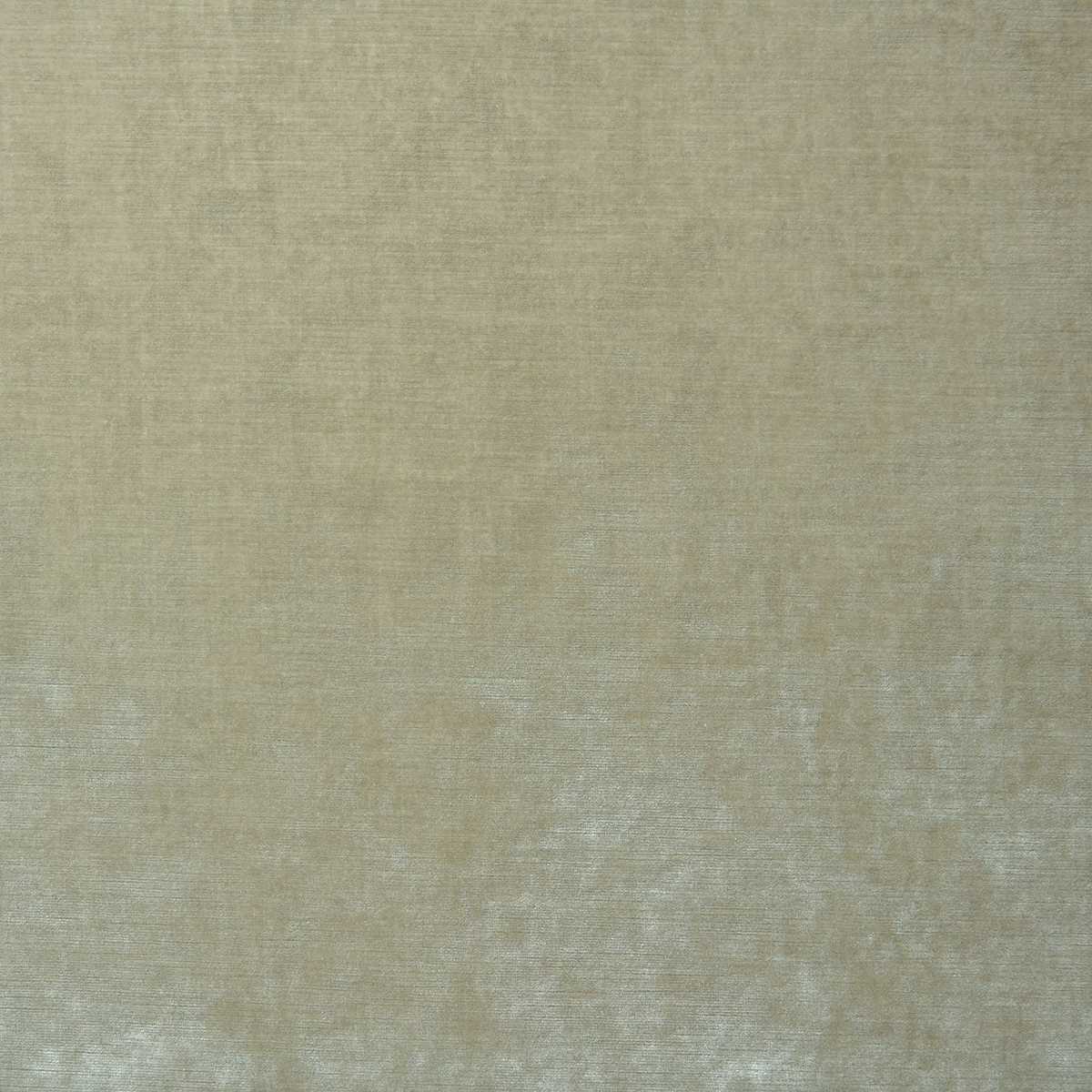 Cosmos Velvet II LF2088FR-024