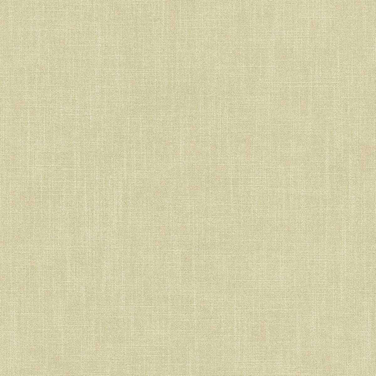 Pluto LF2530FR-003