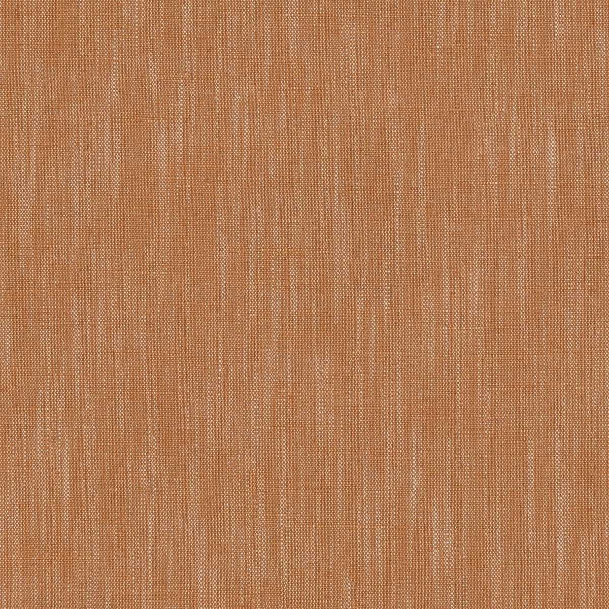 Pluto LF2530FR-024