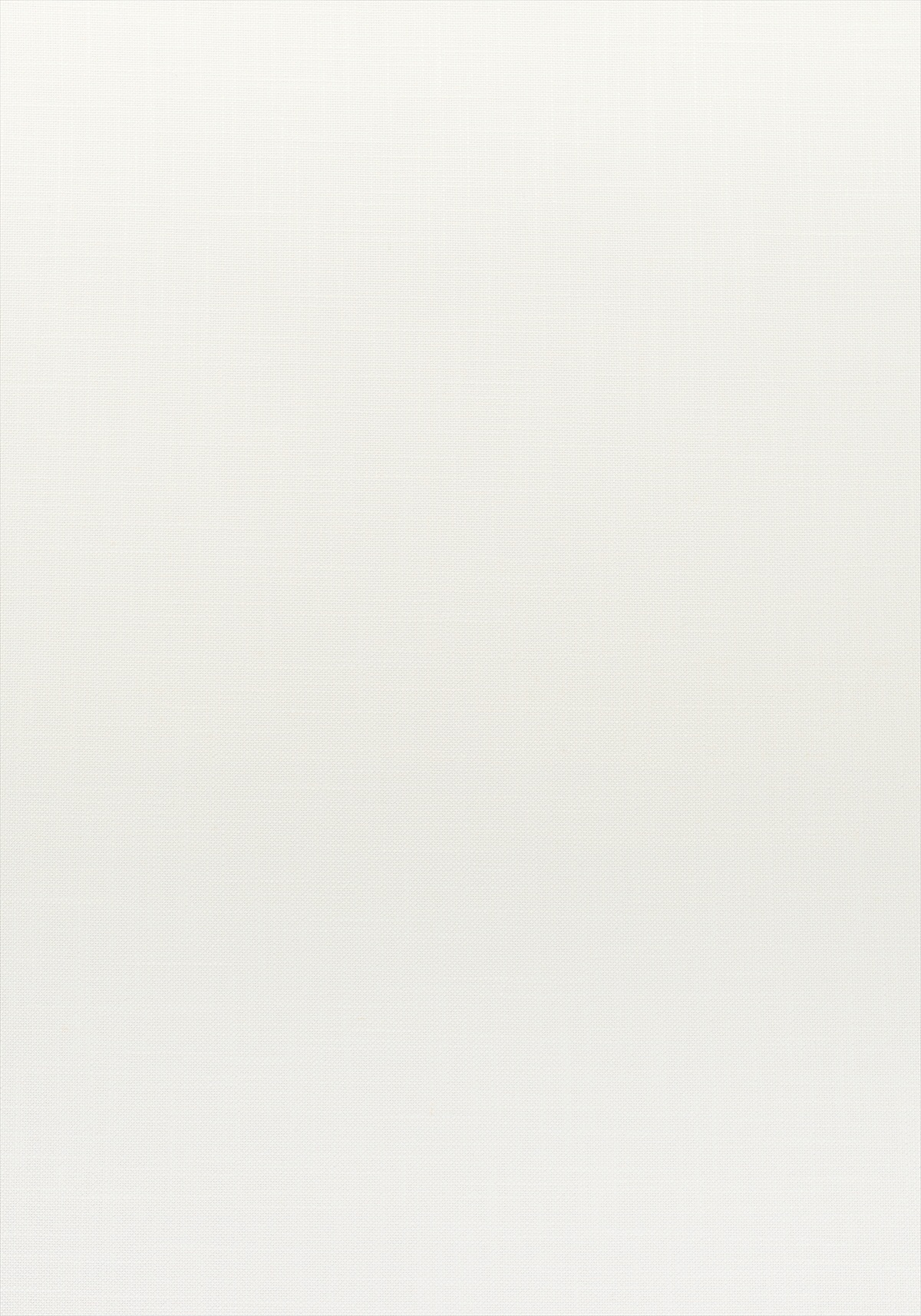 Lira W80461
