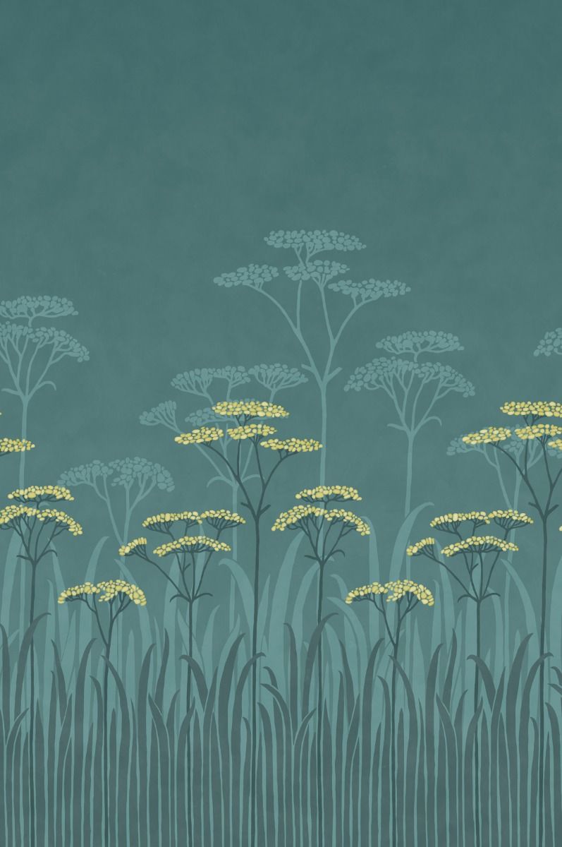 Achillea Aurora