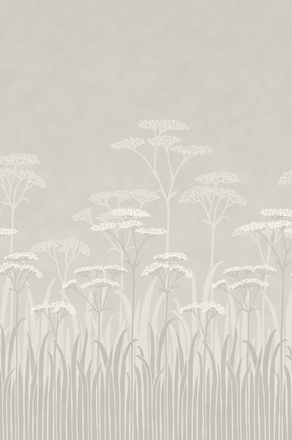 Achillea Brume