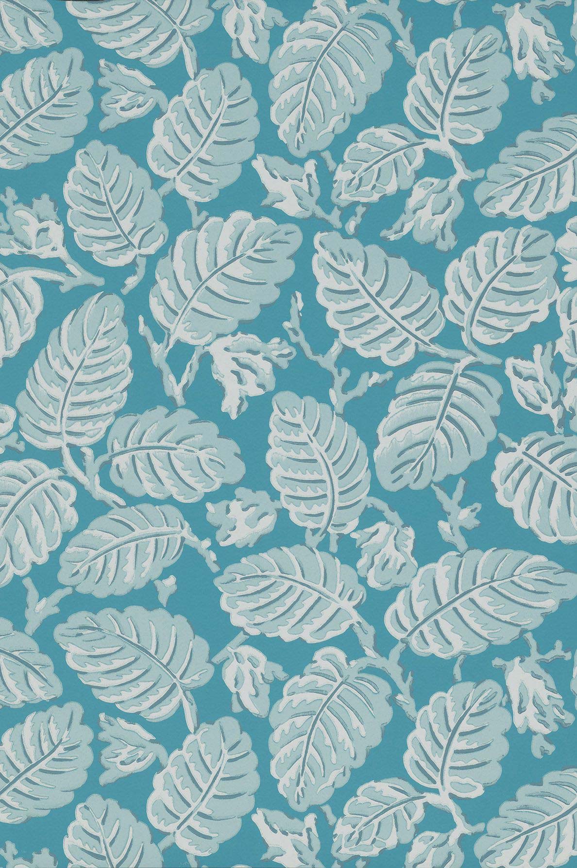 Beech Nut Summer