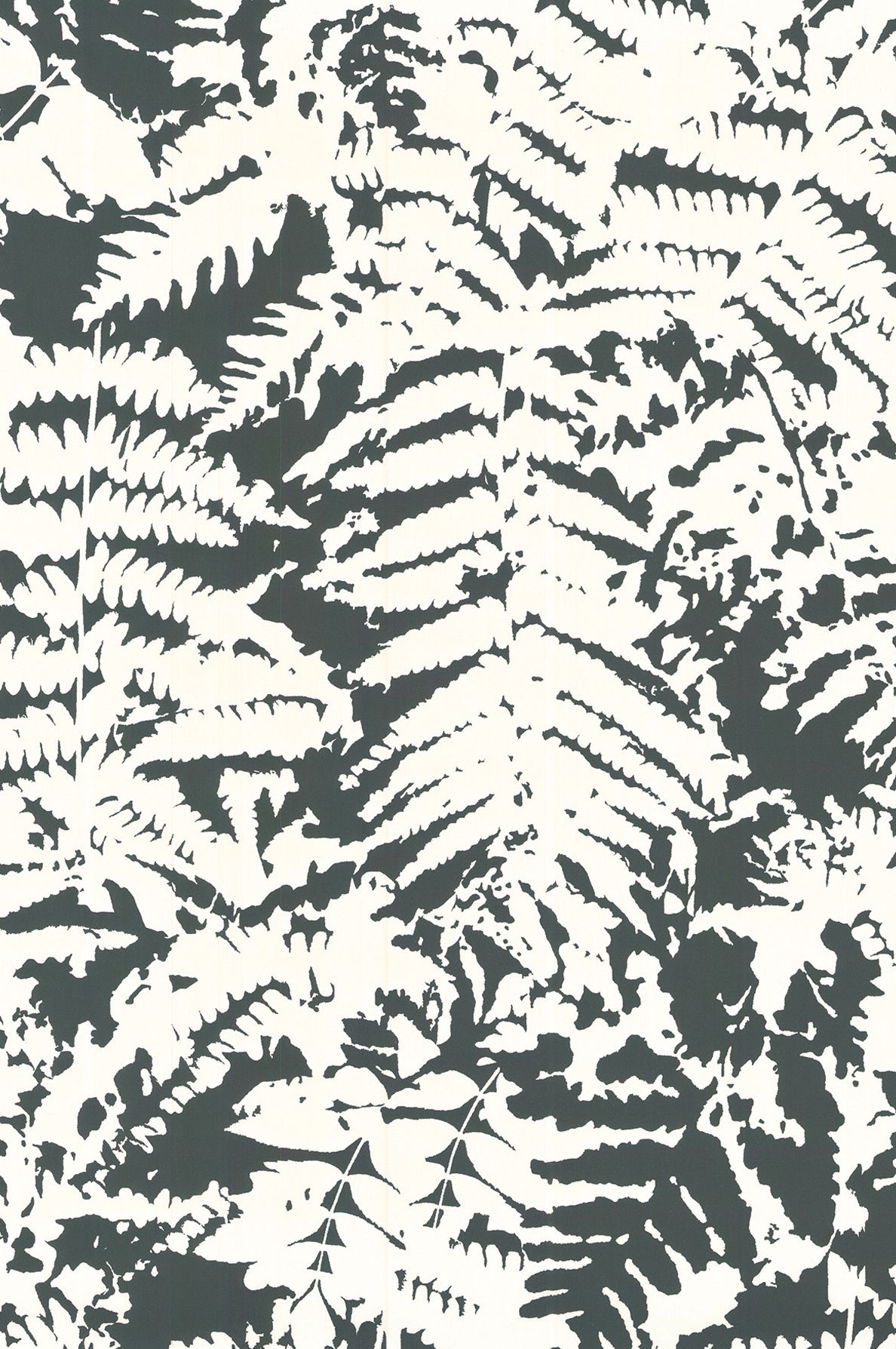 Fern Off Black