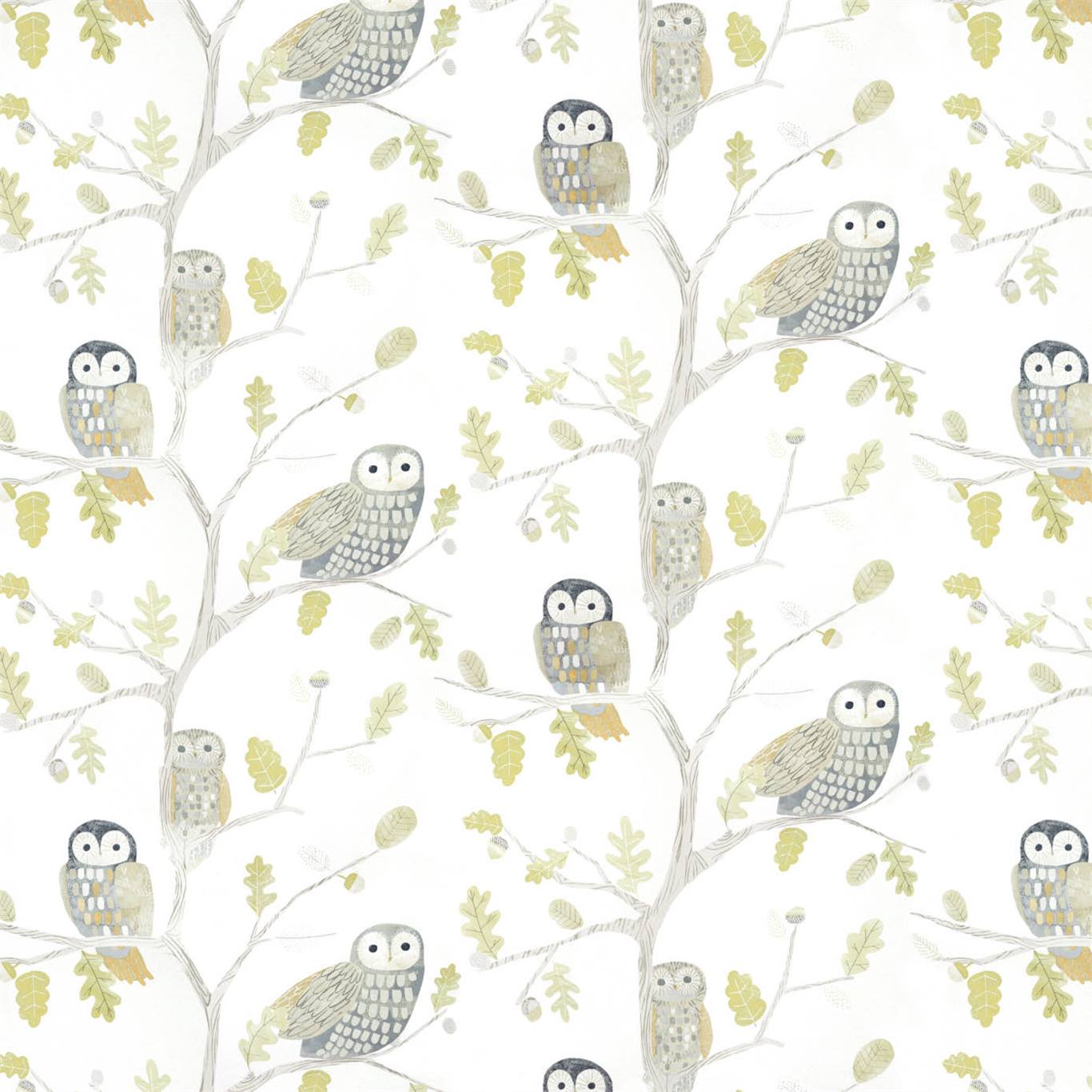 Little Owls 112627
