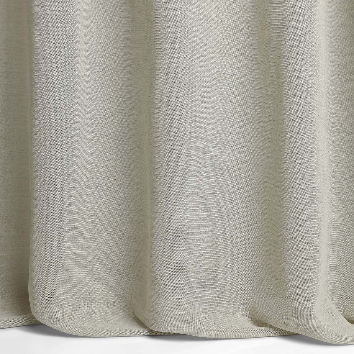 Cassia 06