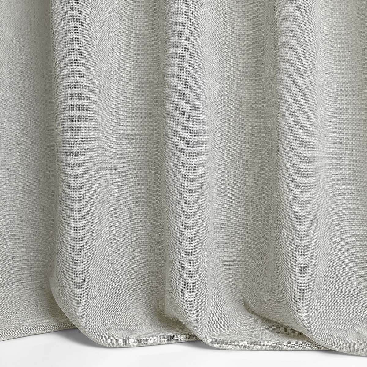 Cassia 09