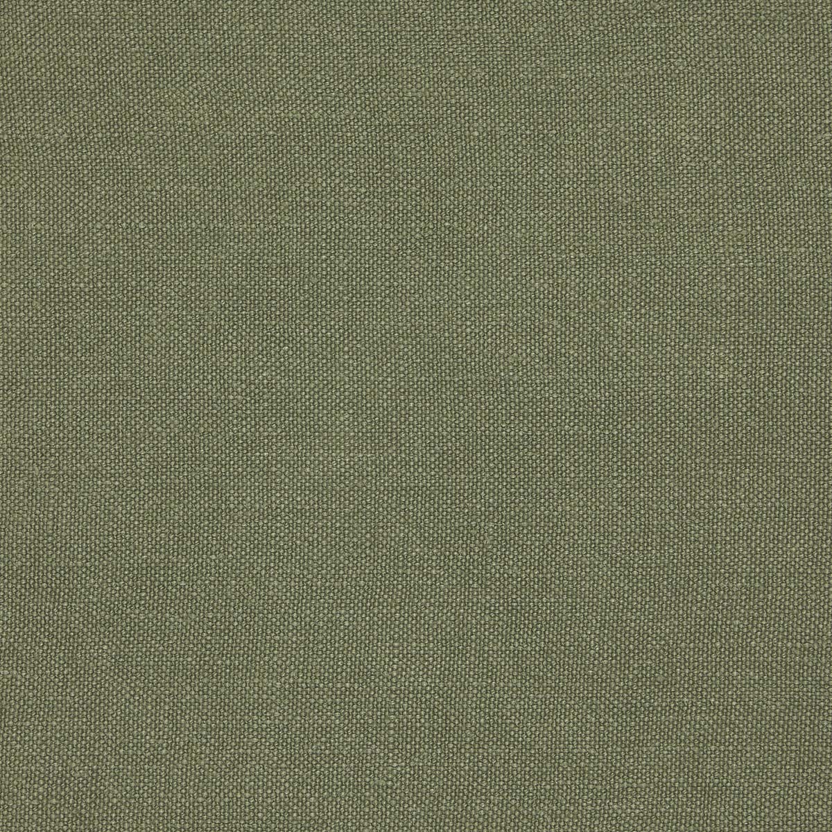 Colban 13