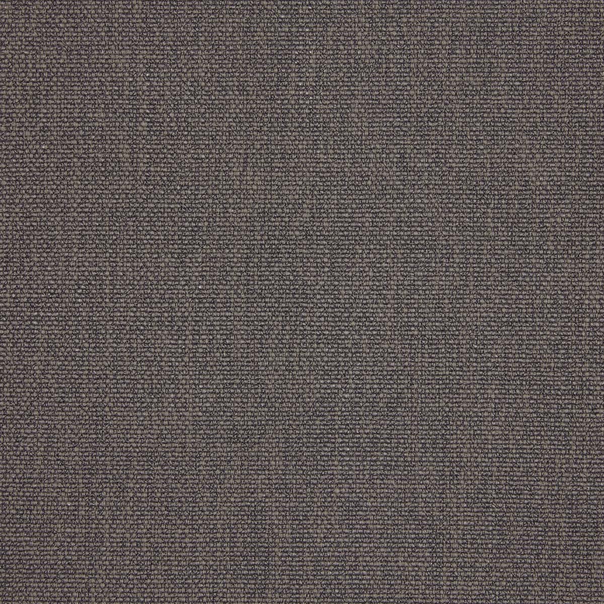 Hessian 29