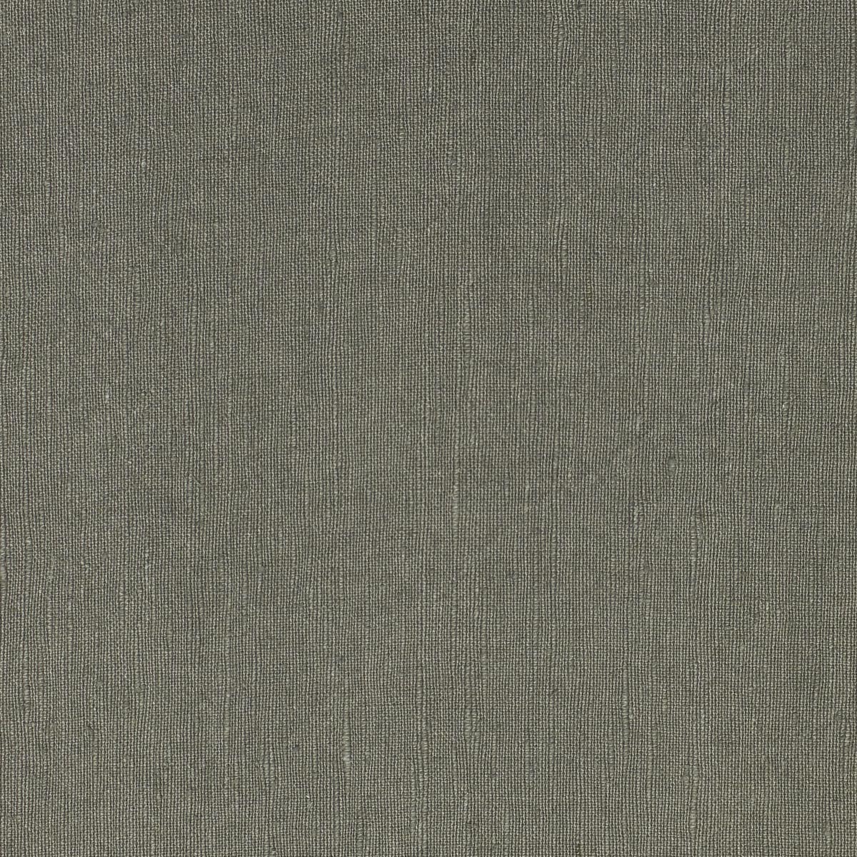 Linnet 01
