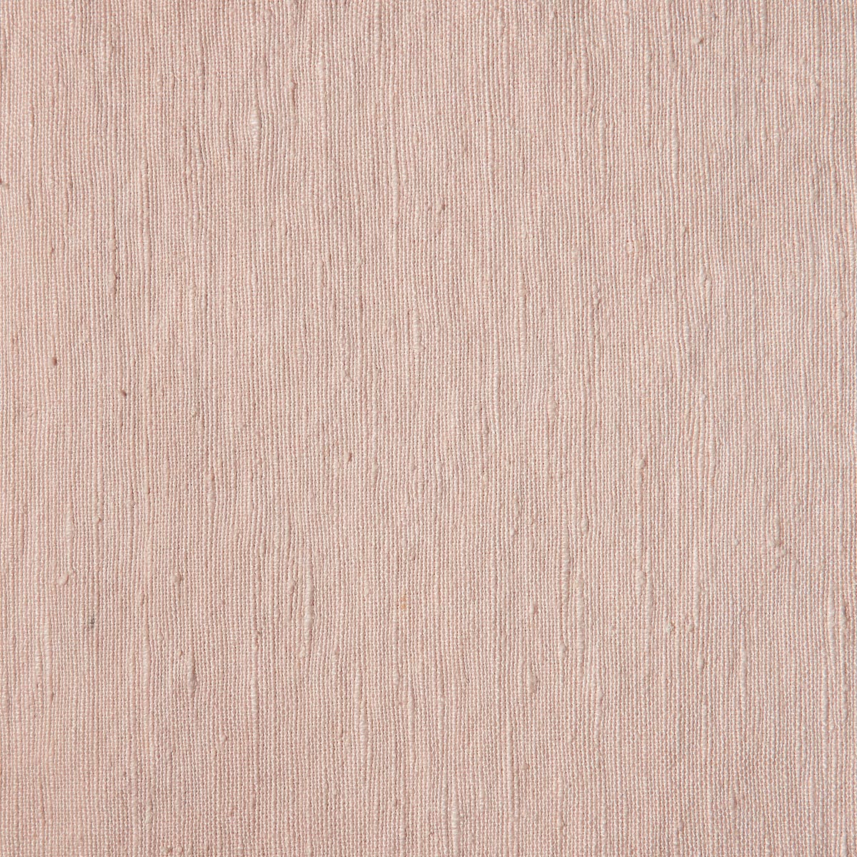 Linnet 02