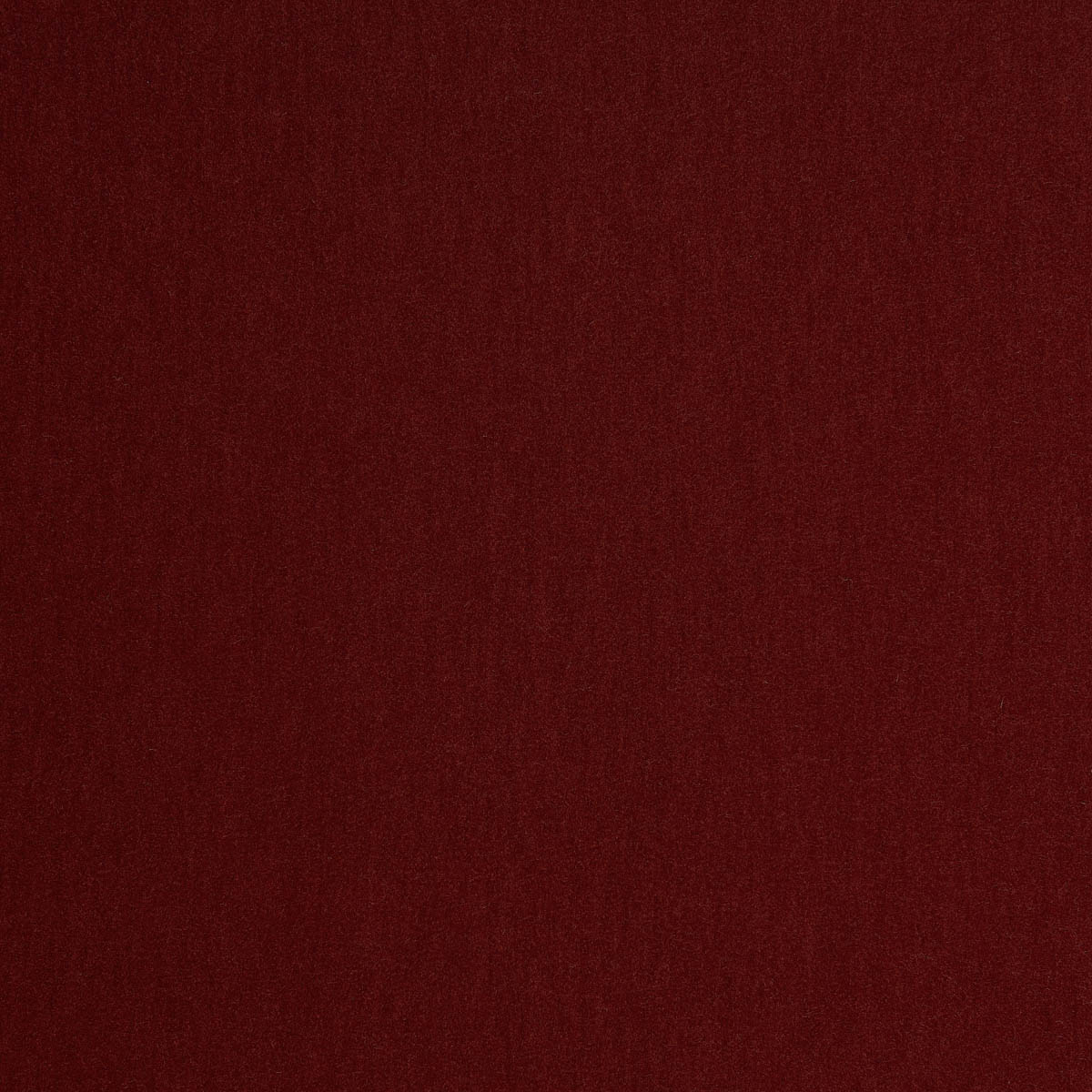 Livorno 52