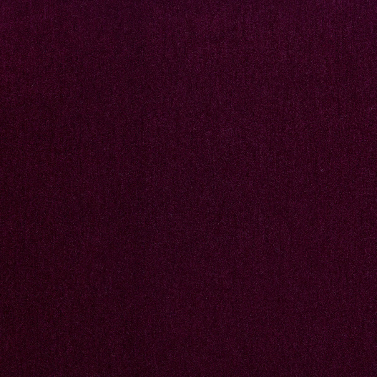 Livorno 59