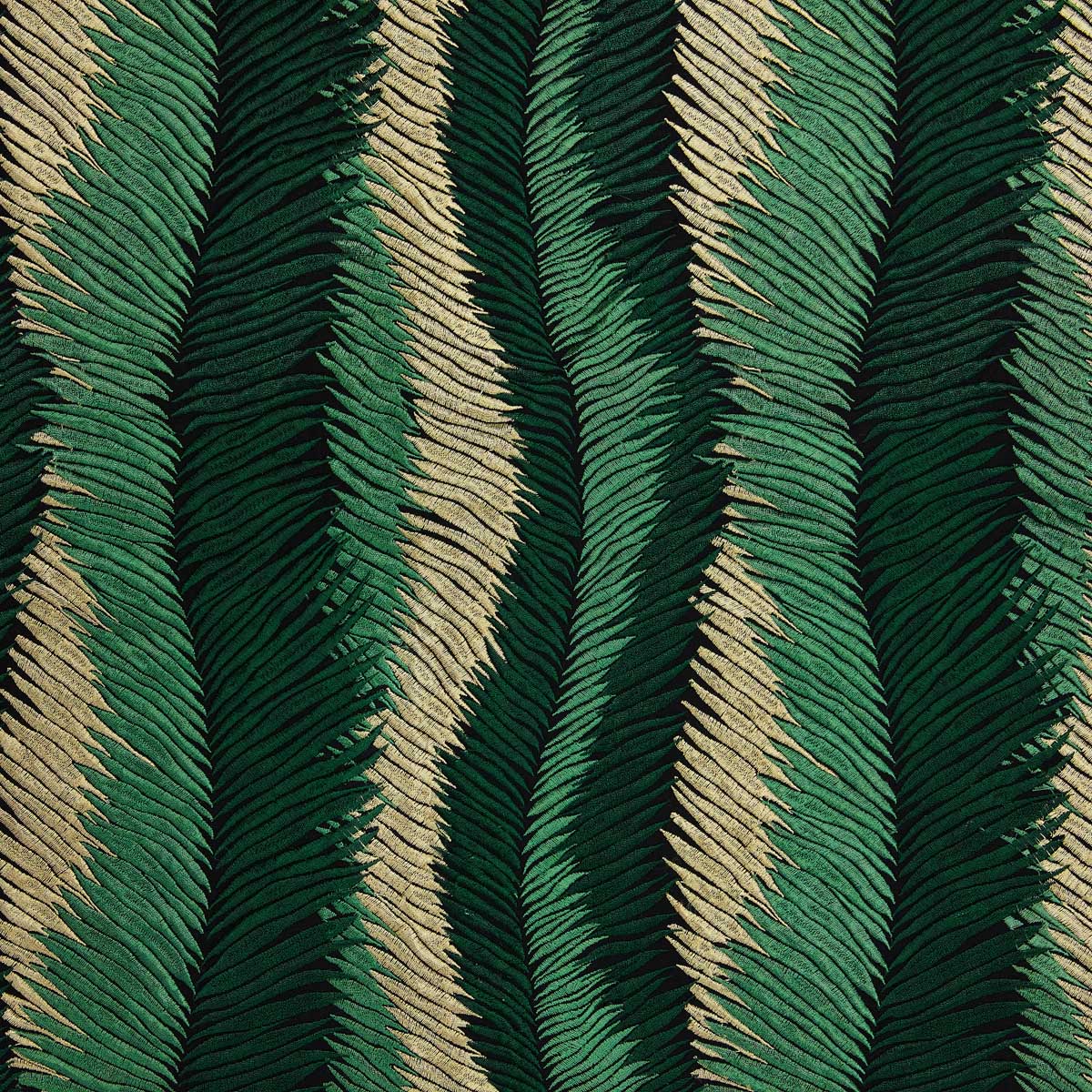 Plumage 03