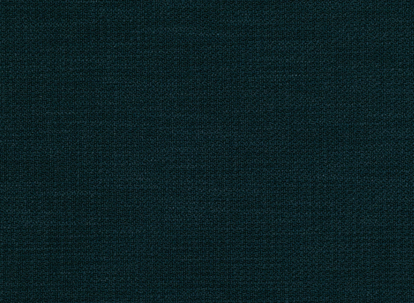 Loop Kingfisher K5042-46