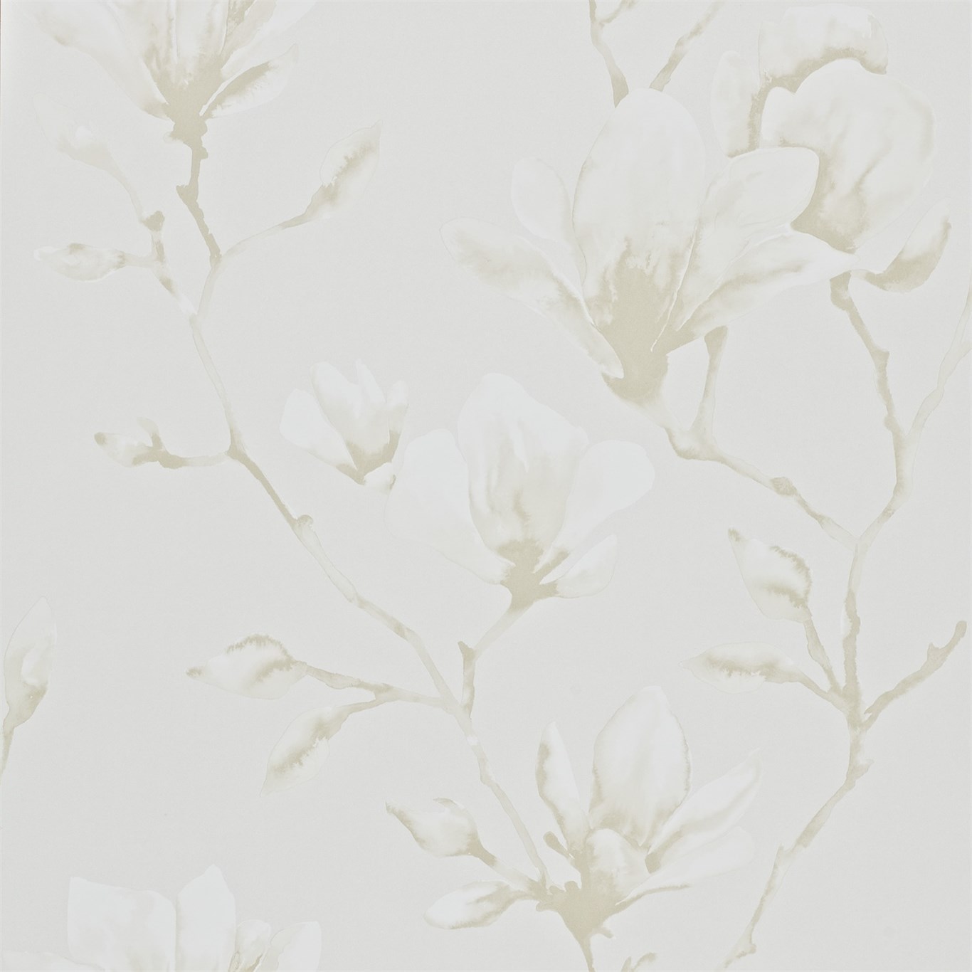 Lotus HMOW110877