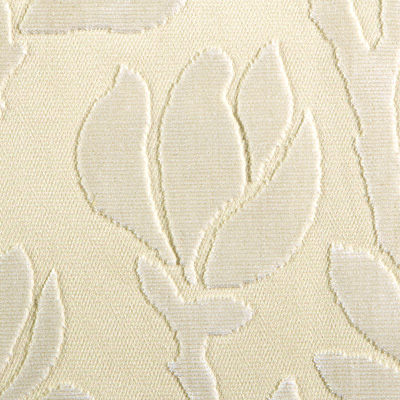 Magnolia T1015-01