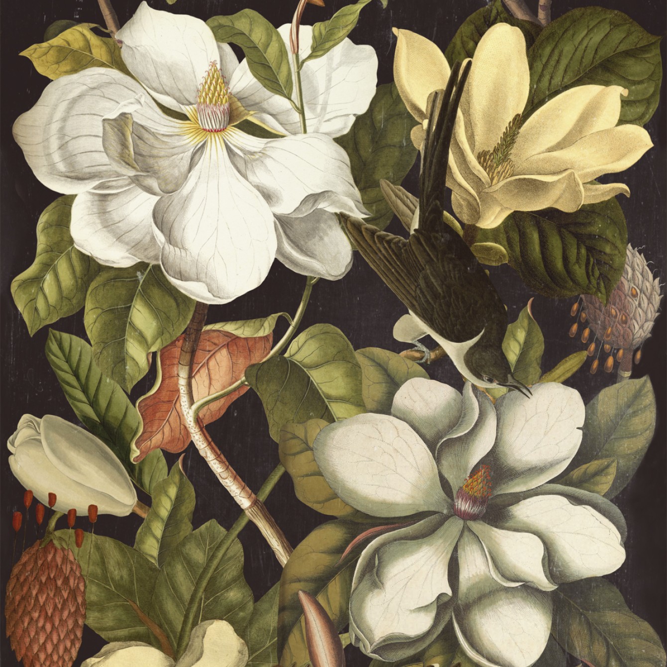 Magnolia WP20171