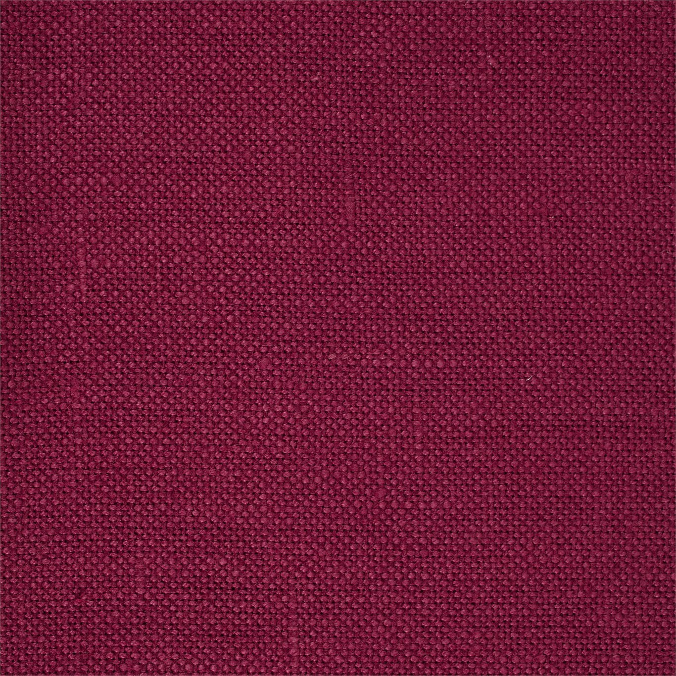 Malbec 246257