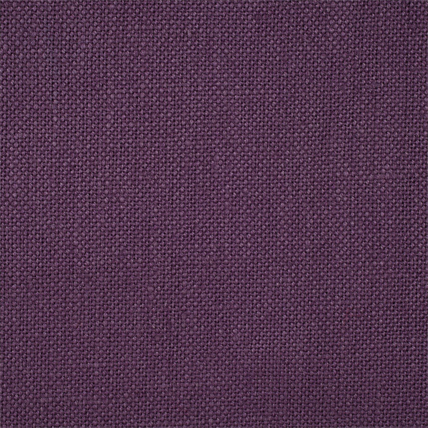 Malbec 246258