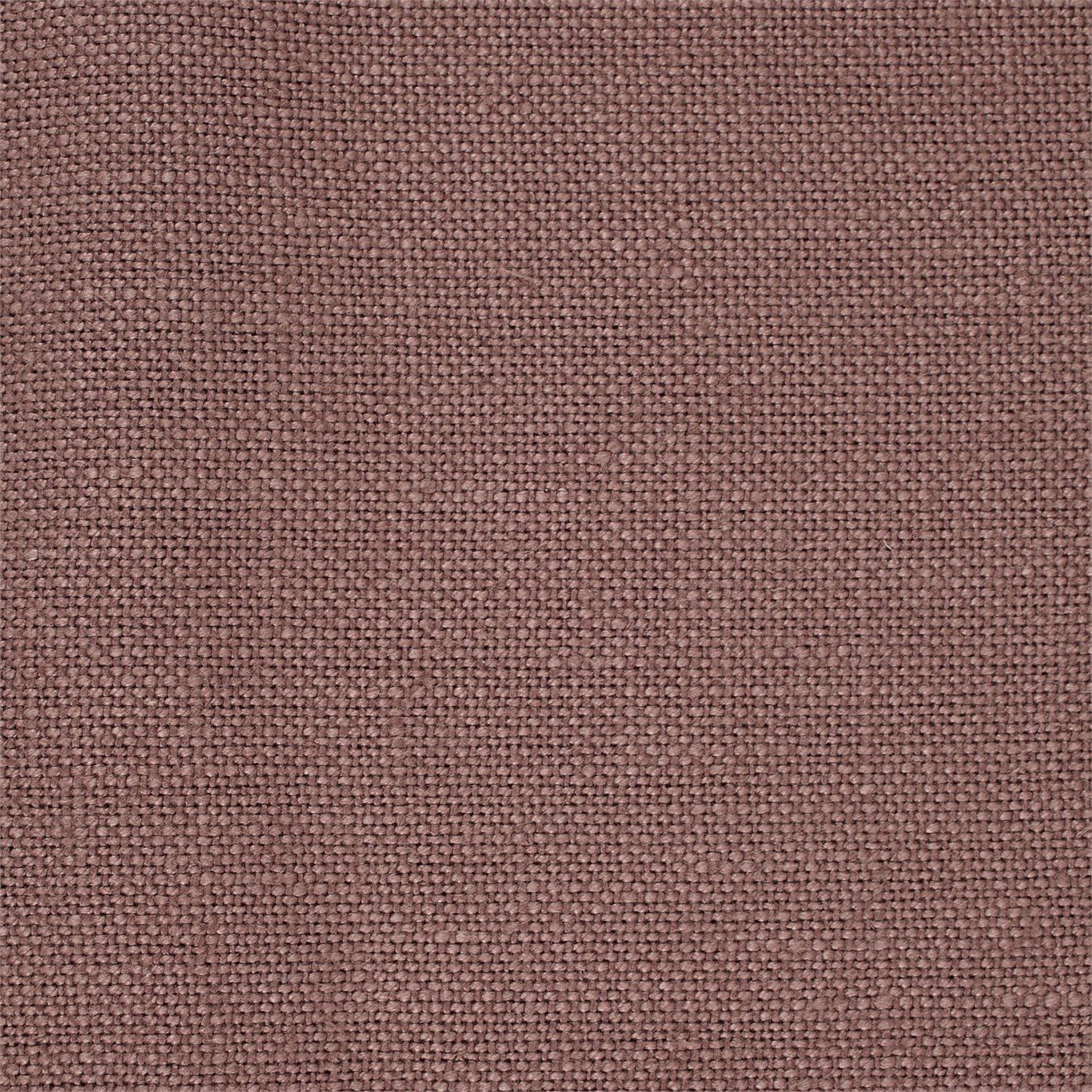 Malbec 246259