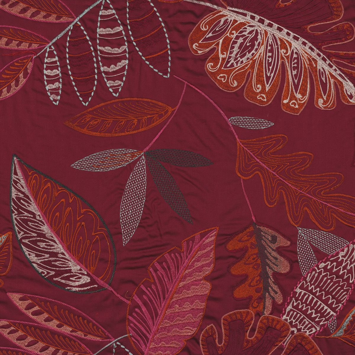 Maranta 4087 05 38