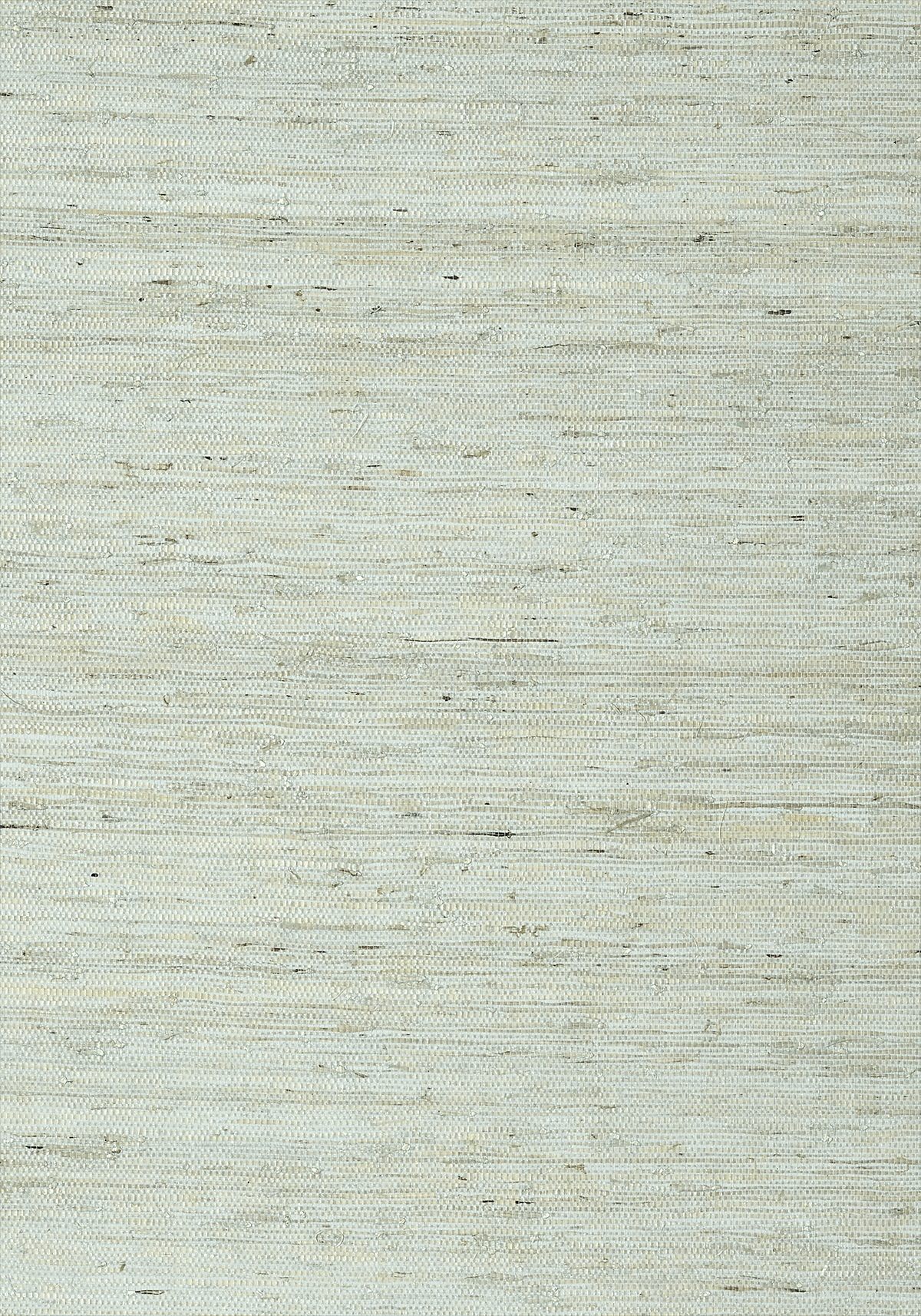 Maranta Arrowroot 839-T-85003