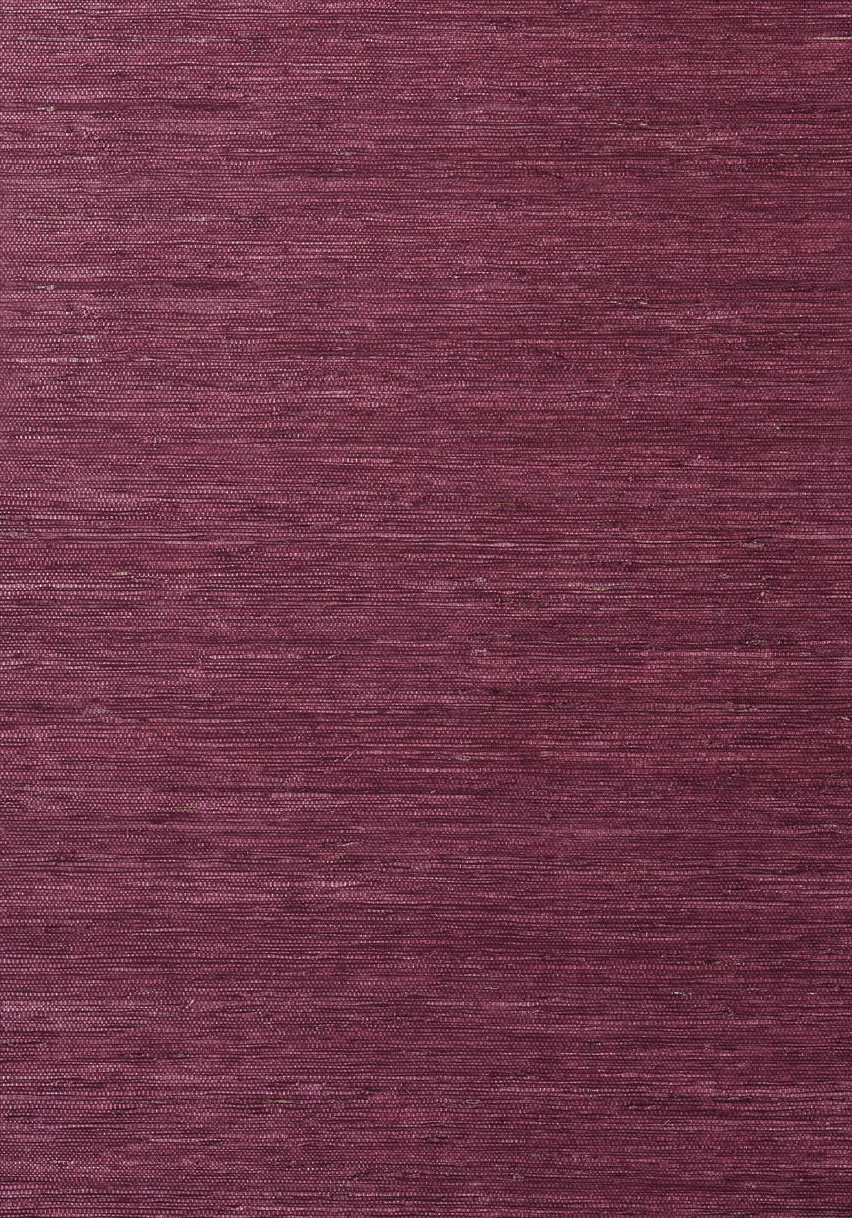 Maranta Arrowroot 839-T-85011