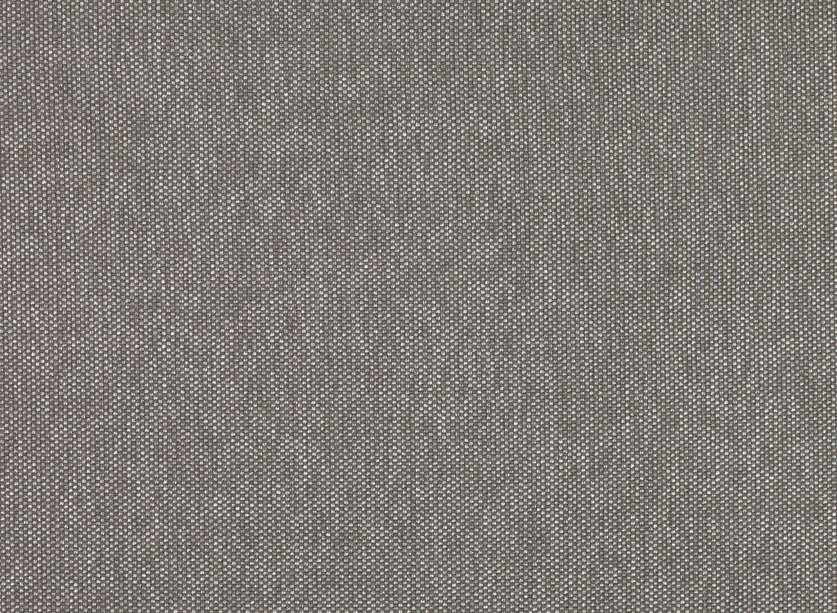 Mari Umber 7649-05