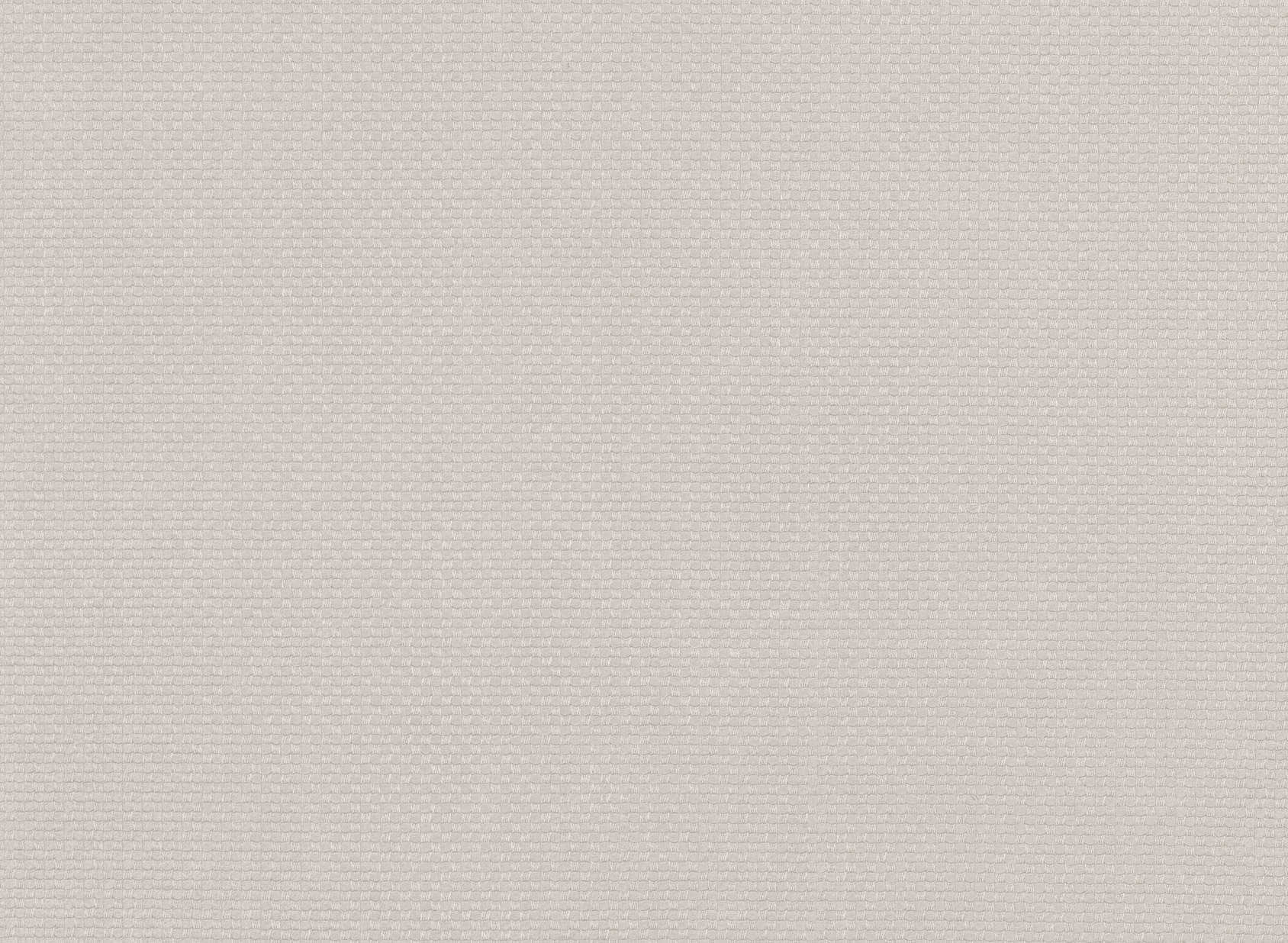 Balance Silverbirch M479-03