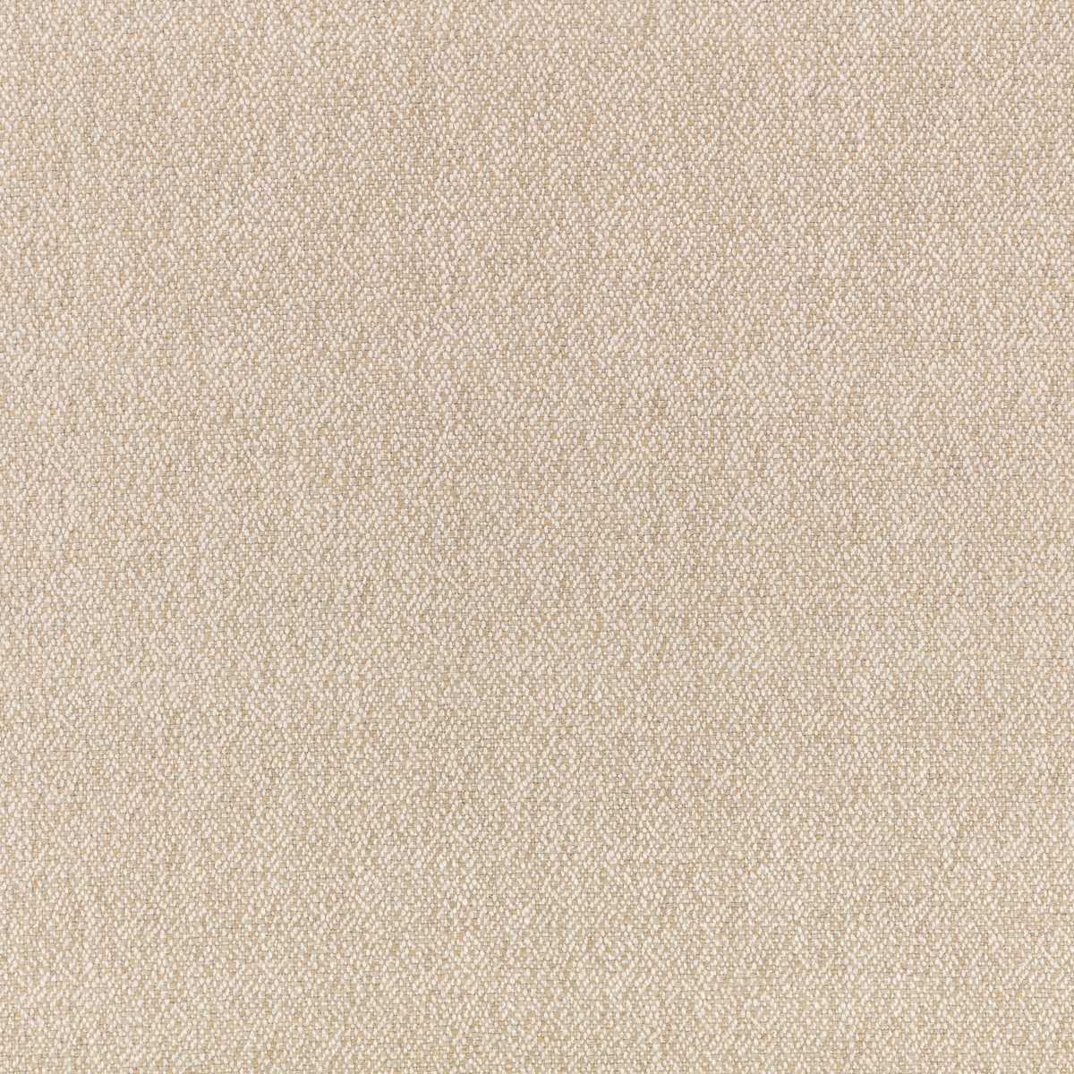 Boulevard Brush