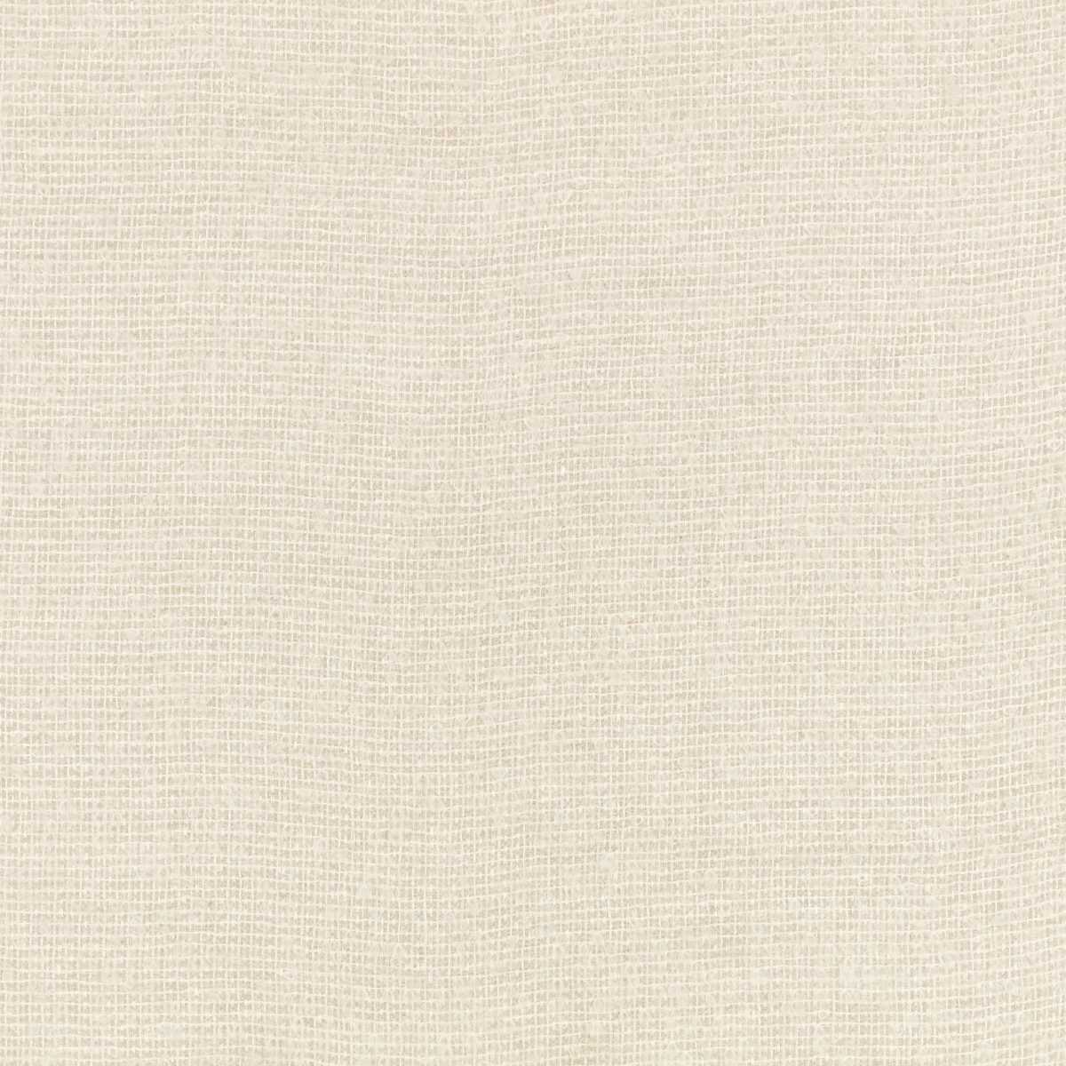 Cirrus Vellum