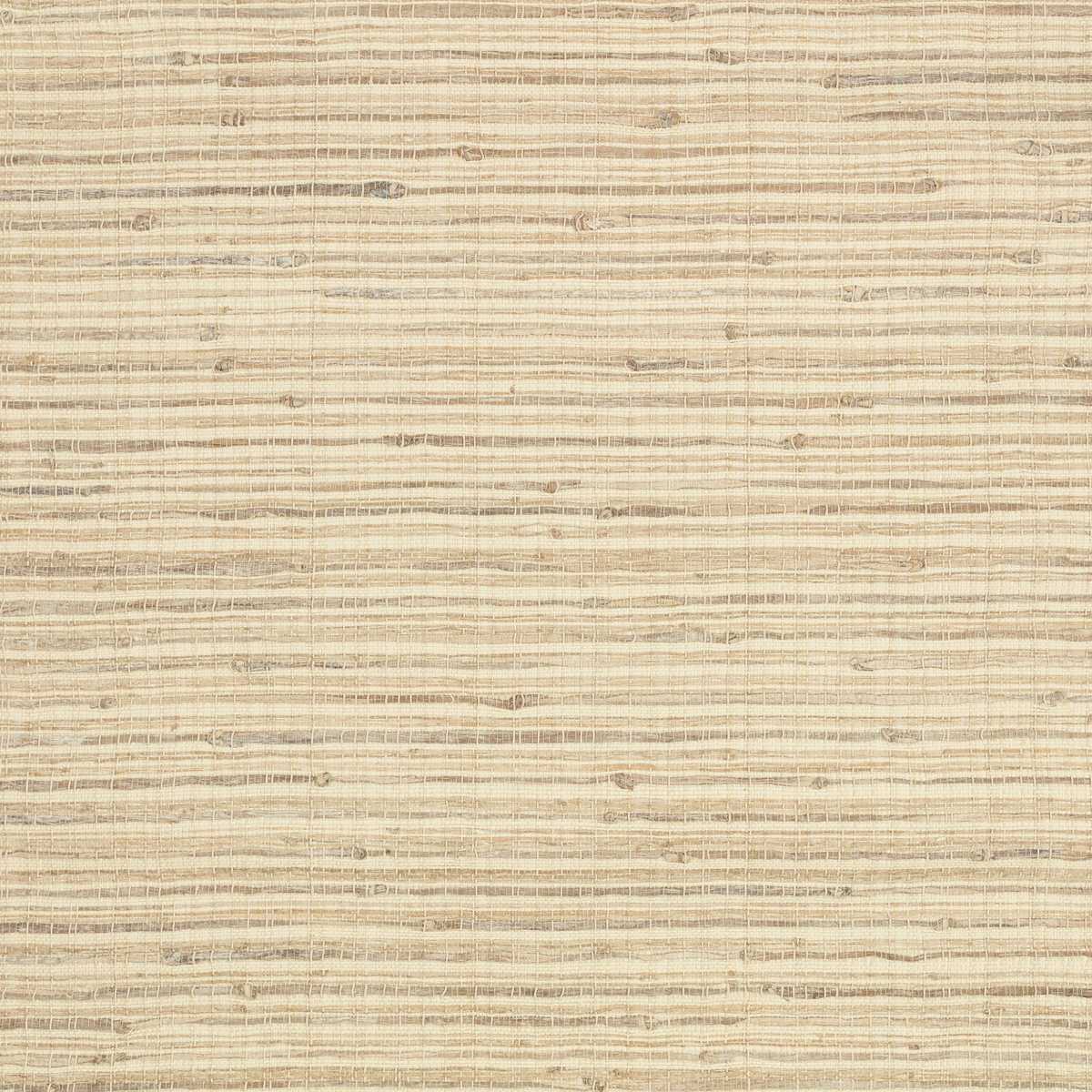 Evoke Whitewash