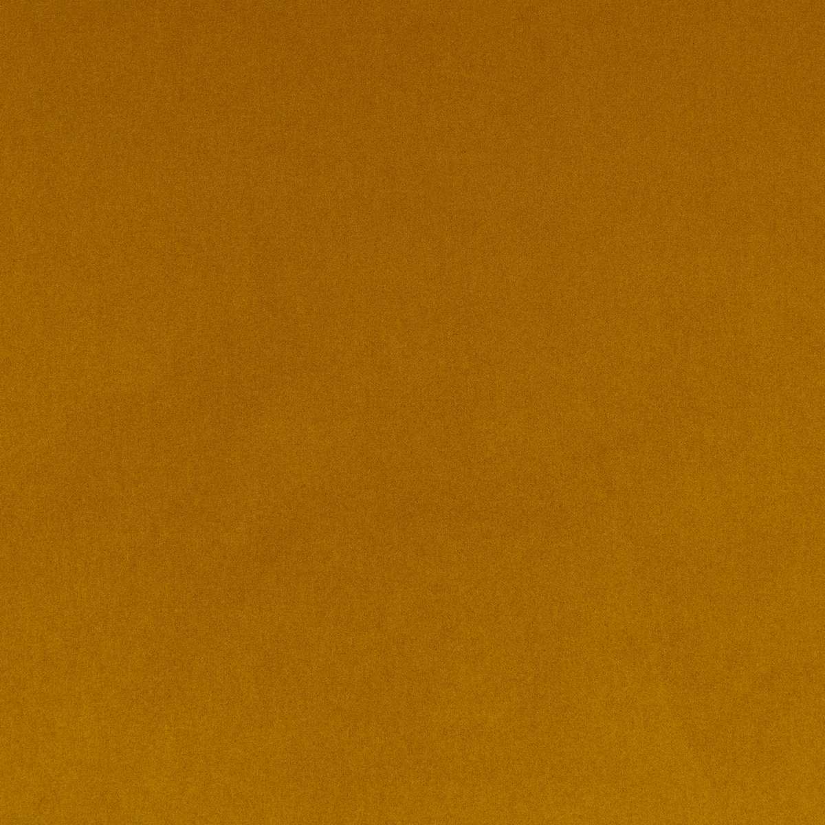 Madison Ochre