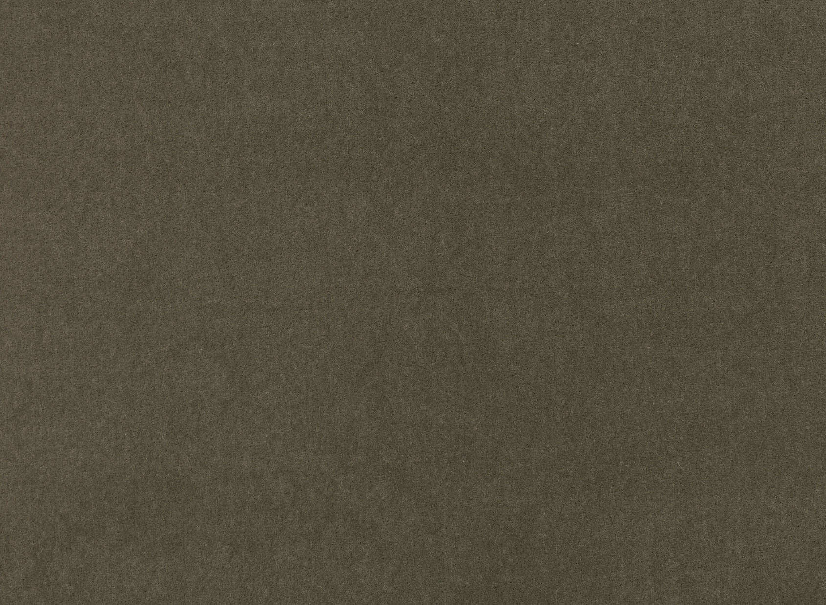 Plush Moss M205-22