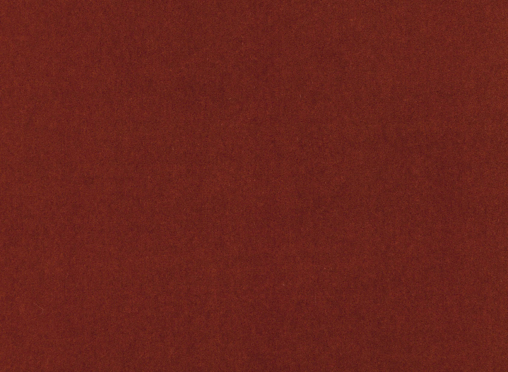 Plush Burnt Sienna M205-26