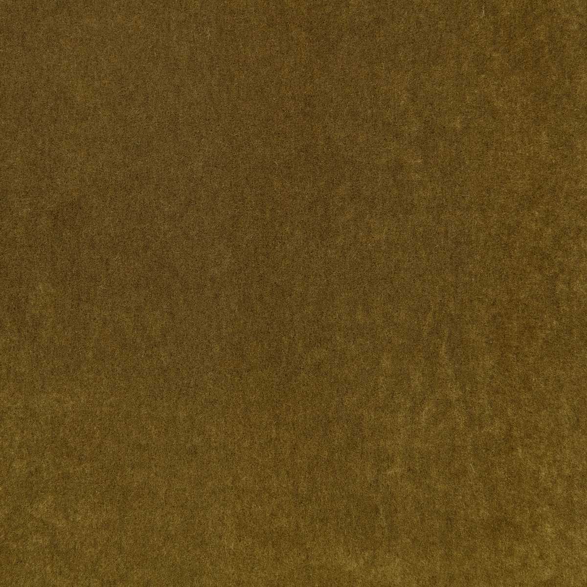 Plush Cumin