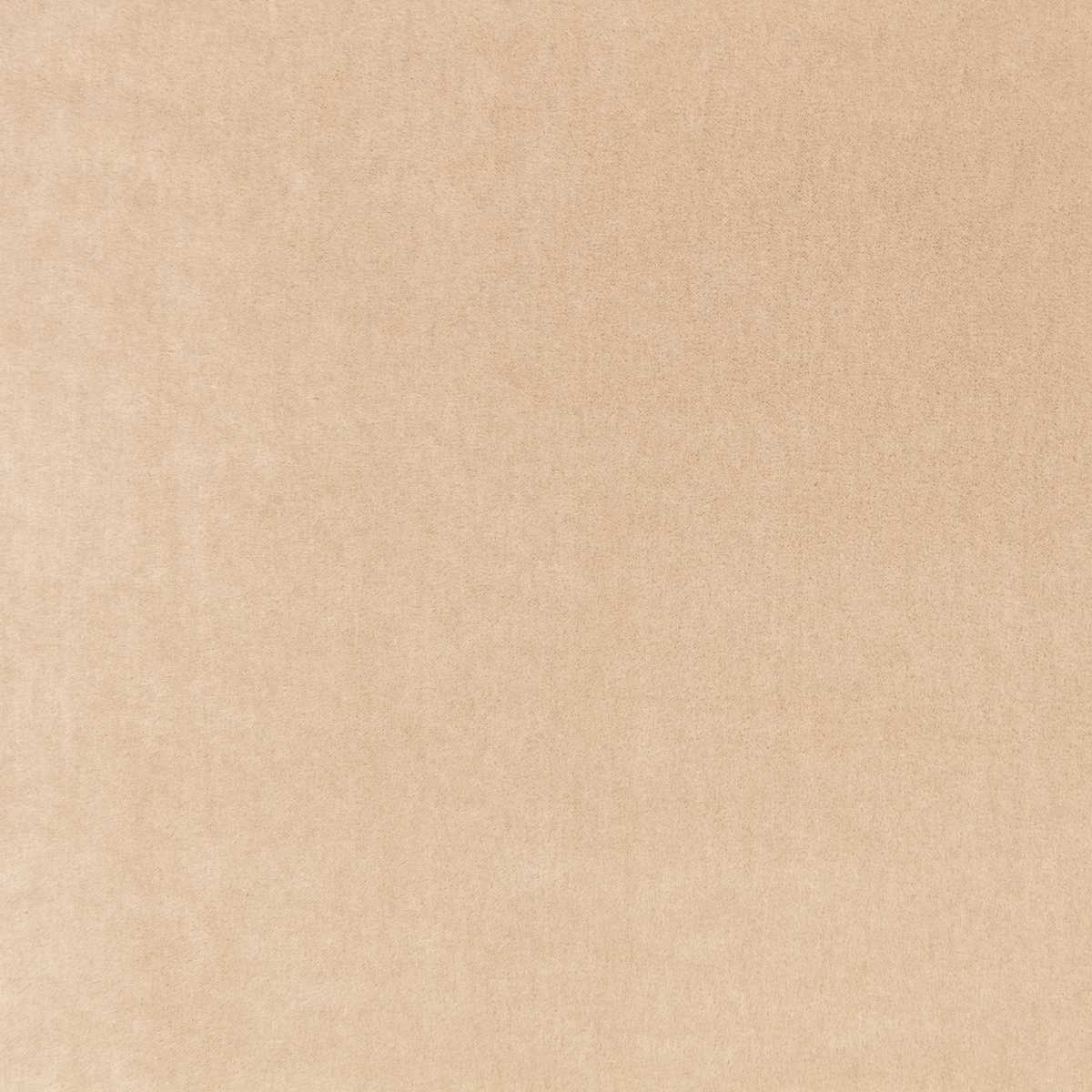 Plush Camel