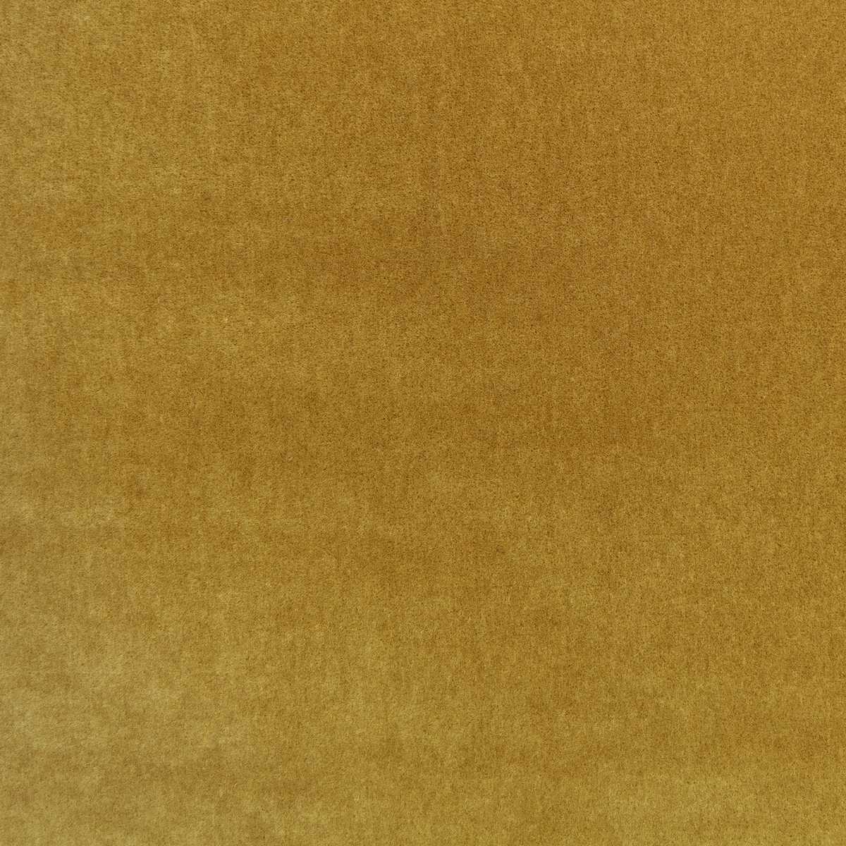 Plush Ochre