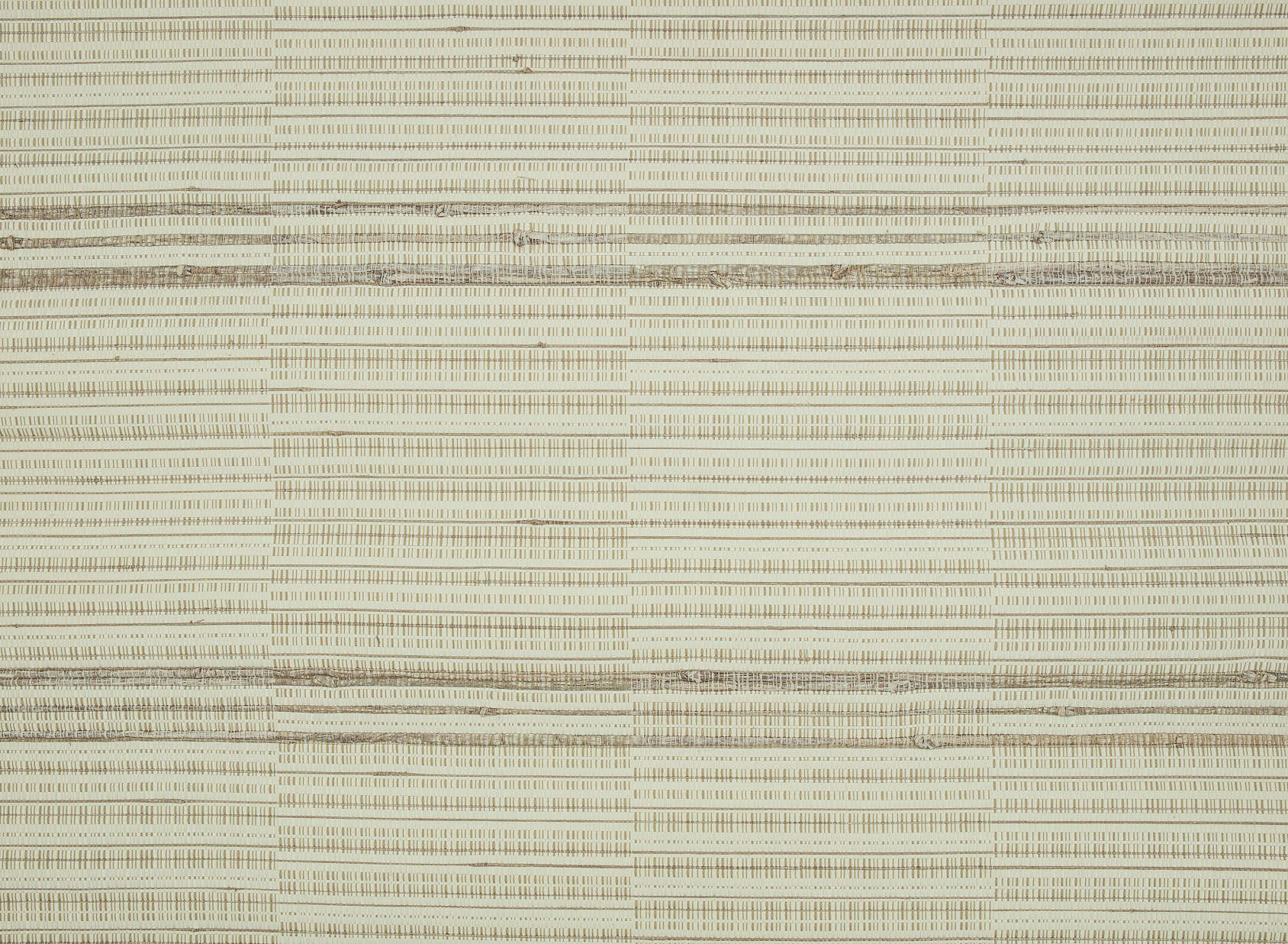 Root MW134-01