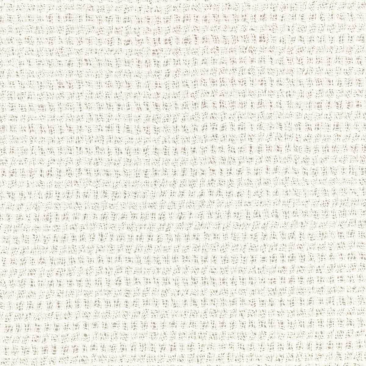 Seni Jasper White