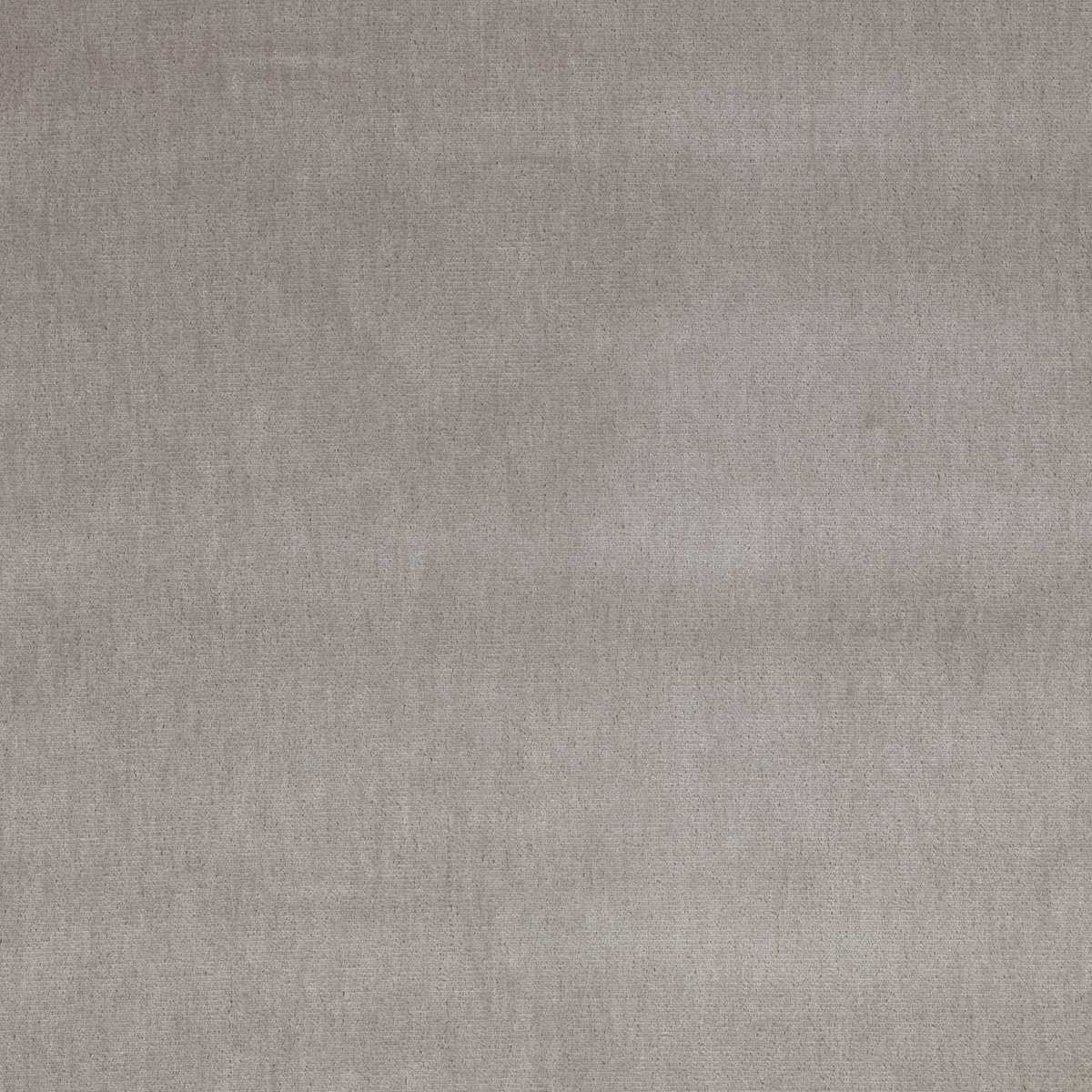 Silken Silverbirch