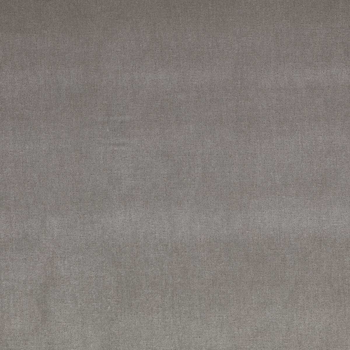 Silken French Grey