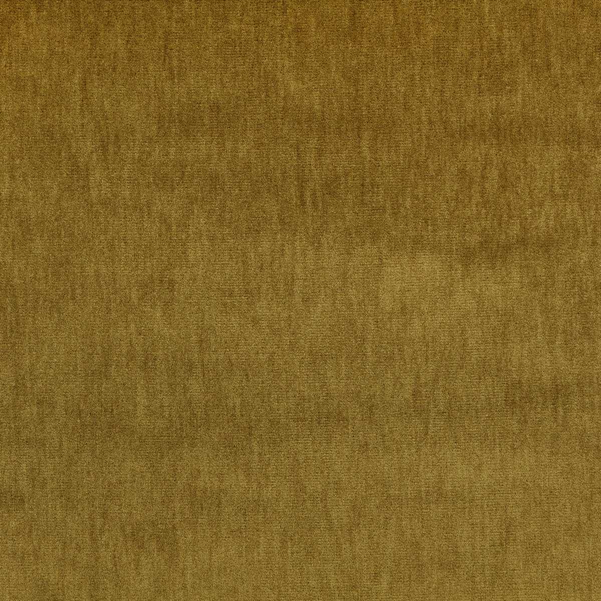 Silken Desert Palm