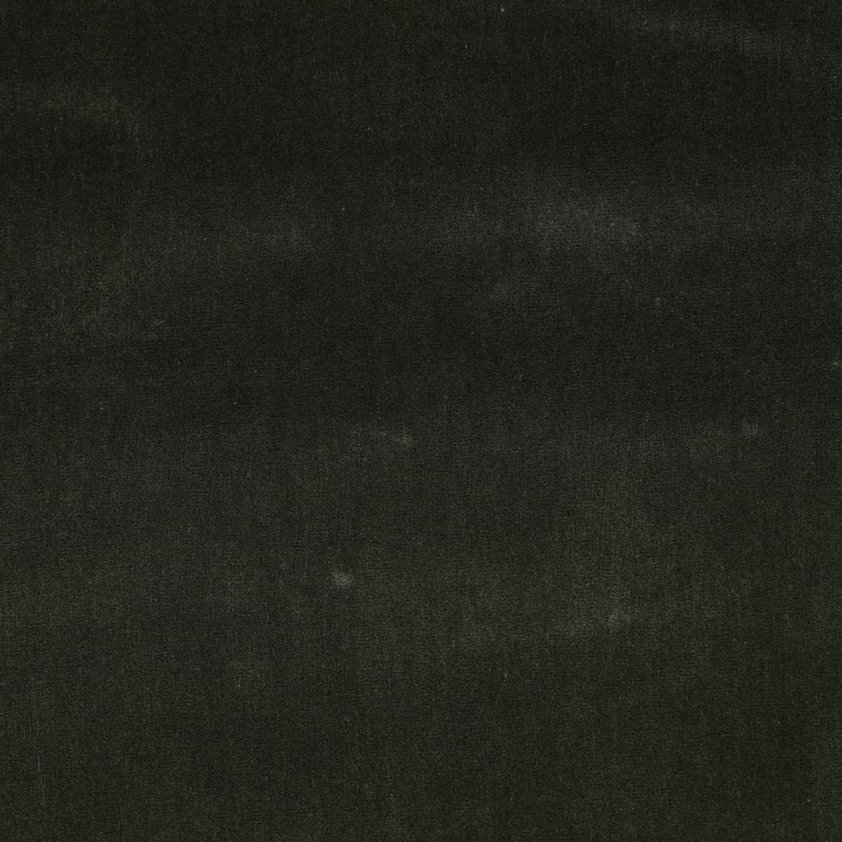 Silken Thicket